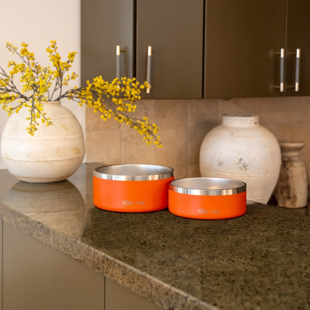 Stainless Steel Pet Bowl – Non-Slip, Durable & Dishwasher Safe | 32oz and 64oz