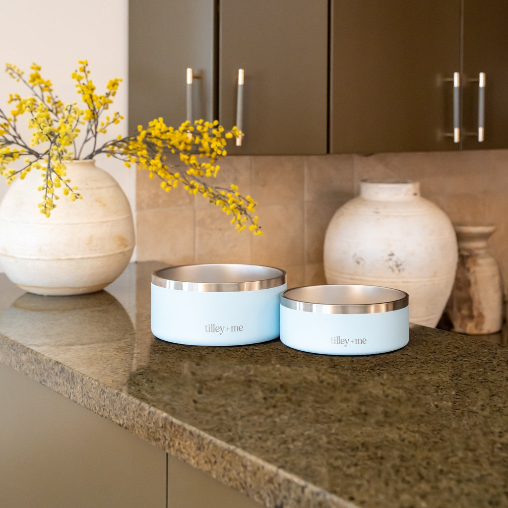 Stainless Steel Pet Bowl – Non-Slip, Durable & Dishwasher Safe | 32oz and 64oz